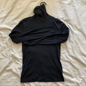 Everlane Pima Microrib Turtleneck